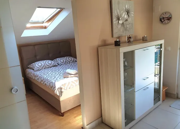 Dd Grubisic 公寓 *